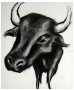 Bull, 2008